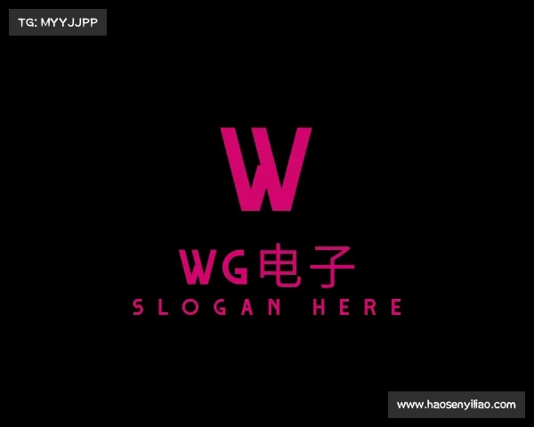 认识WG电子